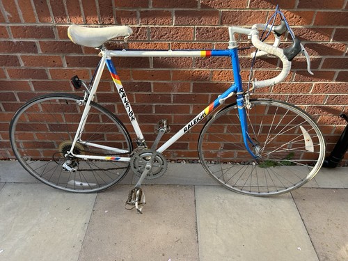 Raleigh panasonic team frame - raleigh,