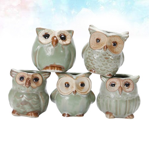 Pcs owl succulent ornaments - 5,