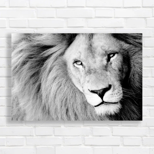 Breathtaking closeup - breathtaking,