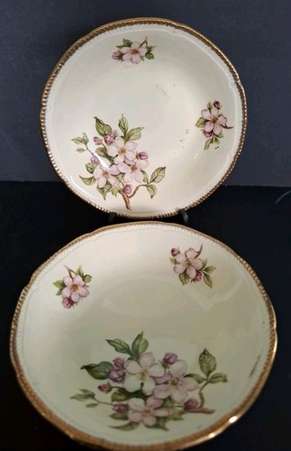Vintage royal swan - vintage, blossomtime