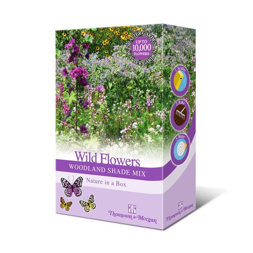 Woodland garden wildflower - woodland,
