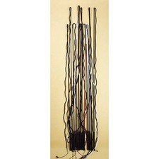 Dozen Lunge Whip Assortment