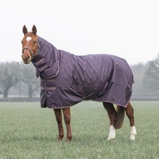 Shires Typhoon 100 Combo Turnout Rug - Black Cherry | Medium/Lightweight Rug