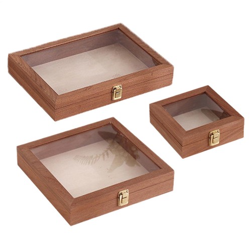 Insect collecting box boxes - insect,