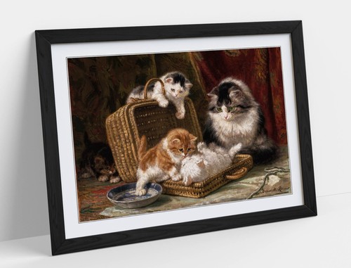 Kittens playing henriette - playing,,