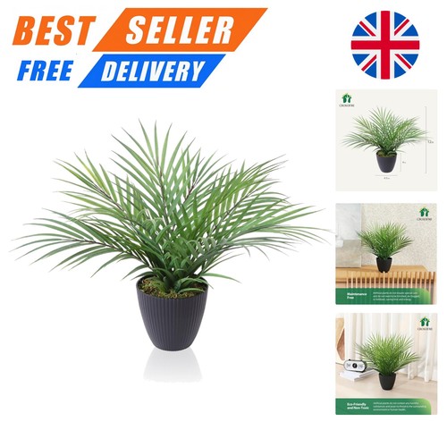 Exotic 35cm areca palm silk - exotic,