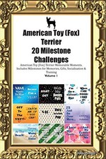 American Toy Fox (Amertoy)