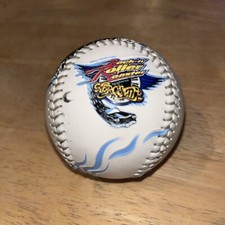 Disney Aerosmith Rock N Roller