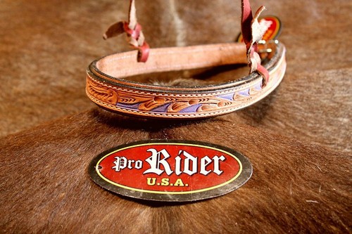 Horse show bridle western - horse,
