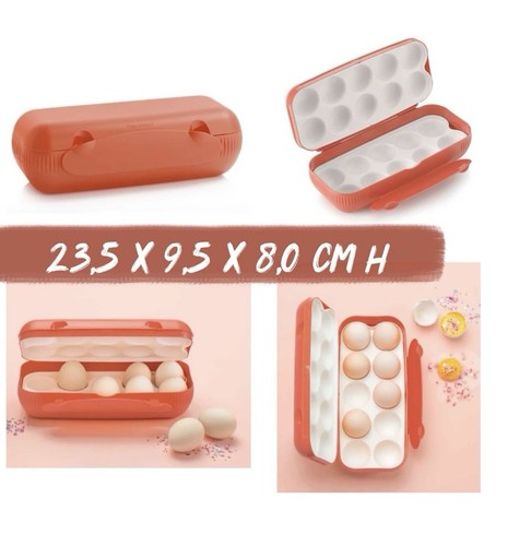 Tupperware columbus egg - columbus, box