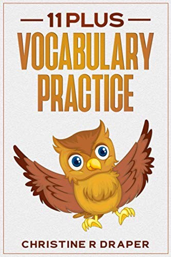Plus vocabulary practice - plus,