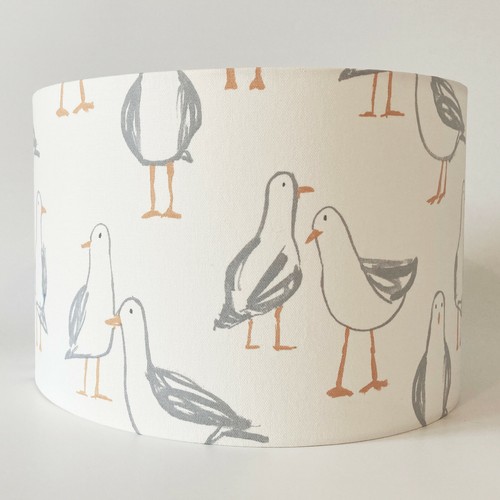 Clarke laridae - &,