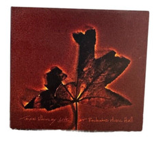 Trixie Whitley - LIVE at