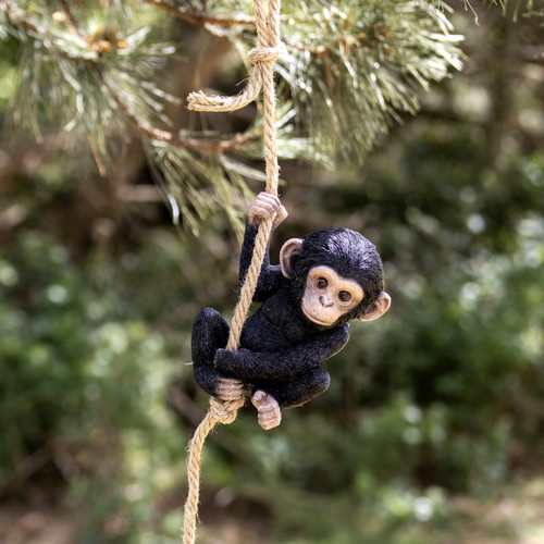 Hanging baby monkey - on, rope
