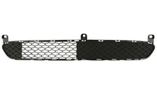 Front BLIC 6502-07-8101995P