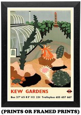 Kew Gardens Cactus Plants By