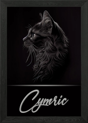 Cymric framed wall art - cymric,