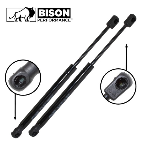 Bison performance 2pc set gas - bison,