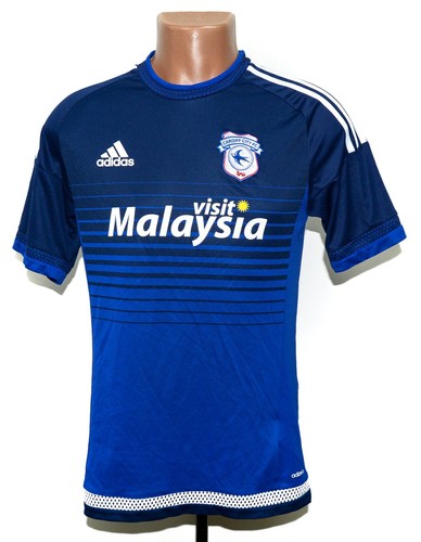Cardiff city 2015 - city, home