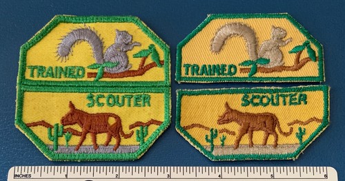 Vintage trained scouter boy - trained,