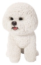 Vivid Arts Bichon Frise Dog -