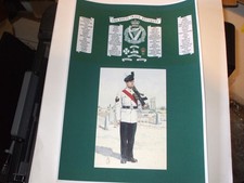 THE ROYAL IRISH REGIMENT A4