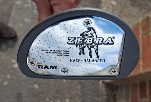 Zebra face balanced - zebra,
