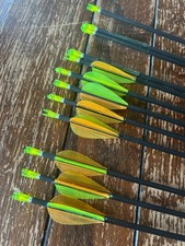 12x Skylon Paragon all-carbon