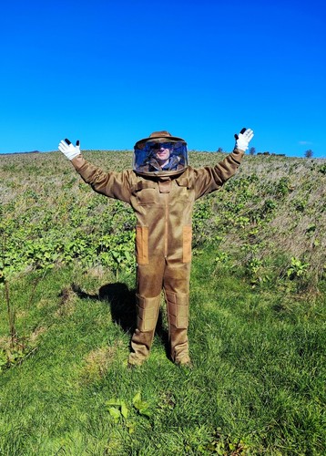 Humble bee ultralite suit - bee,