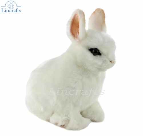 Hansa white pygmy rabbit 8127 - white,