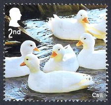 Call ducks on 2025 stamp