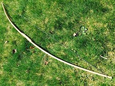 55/60lb 64" Traditional