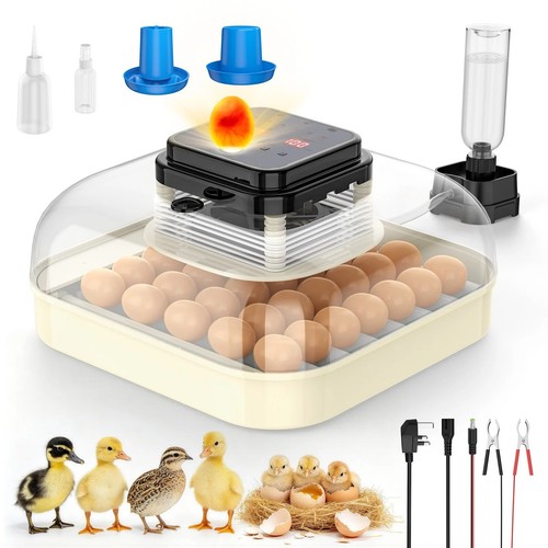 Digital egg incubator - digital, /