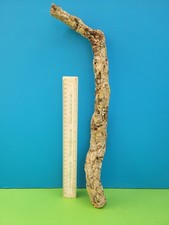 Cork bark branch - bark,