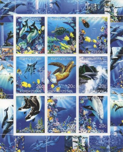 Fish dolphin turtles whales
