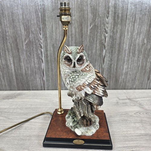 Giuseppe armani florence owl - armani,