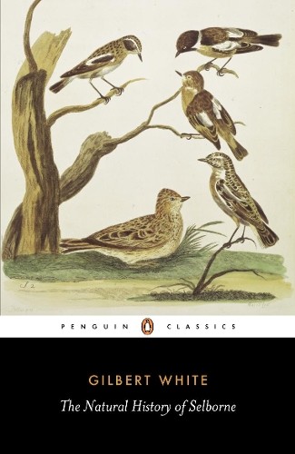 The natural history - natural,