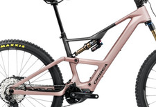 Frame Pivot Bearing Kit |