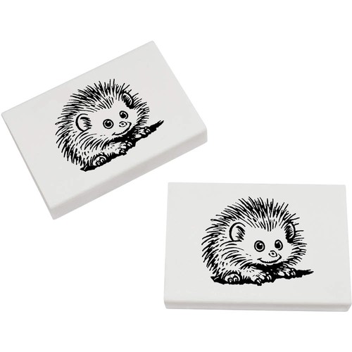 African pygmy hedgehog - x, hedgehog'