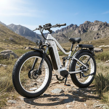 60V/35AH 26" Full Suspension