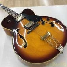 Vantage Full Hollow Body Guitar 655 JP