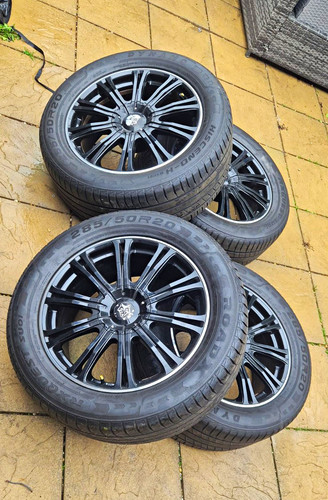 Ford ranger wolf - 20",