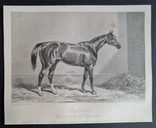 Antique 1852 print - Horse Racing - Stockwell - Winner of 1852 St Leger - Hall