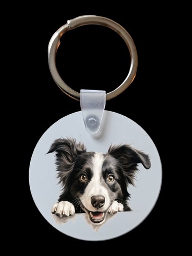 Peeking peeping border collie - peeking,
