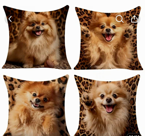 Pomeranian dog cushion covers - pomeranian,