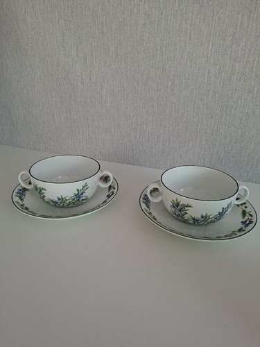 Royal worcester feverfew - x,