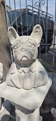 Dapper french bulldog frenchie - french,