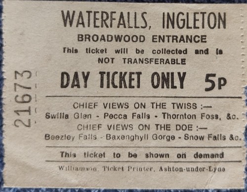 Vintage ticket for waterfalls - vintage,