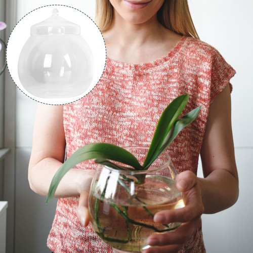 Terrarium tank jar small - terrarium,