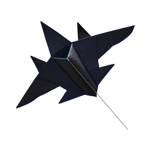 Large plane kite - large,